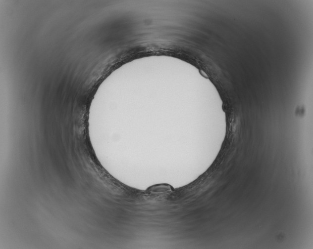 X0000110741012200907131116