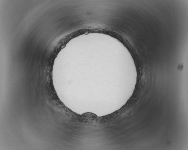 X0000110741016200907131116