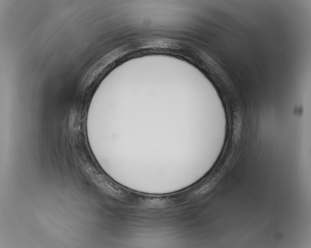 X0000110741017200907131116