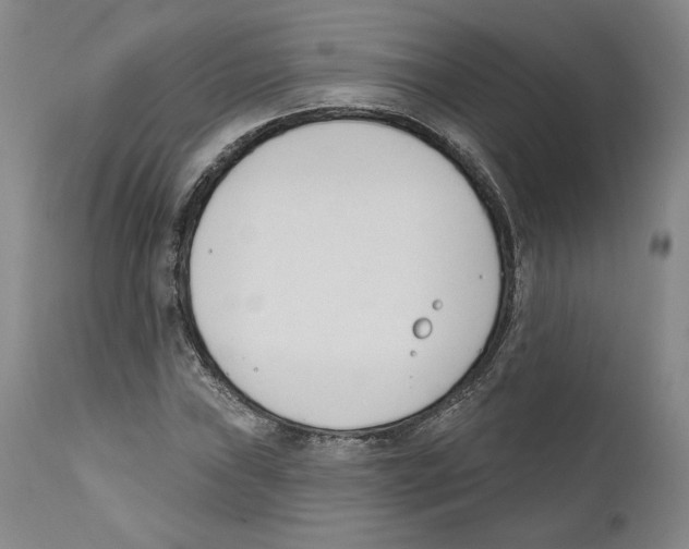 X0000110741019200907131116