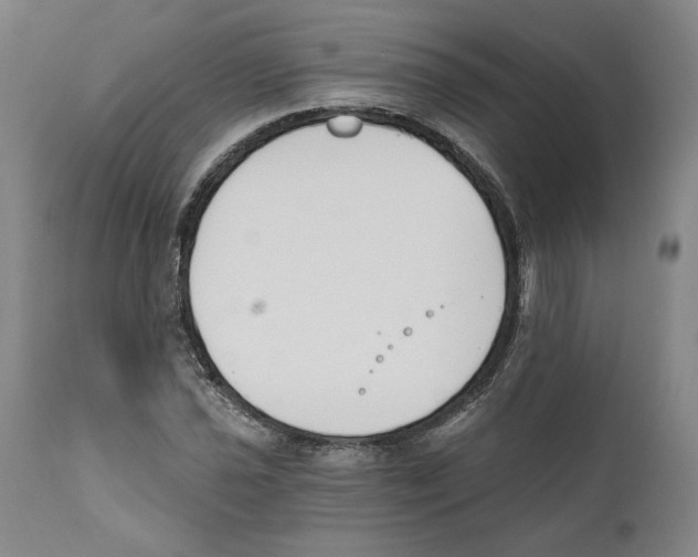 X0000110741021200907131116