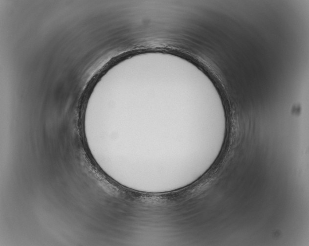 X0000110741023200907131116