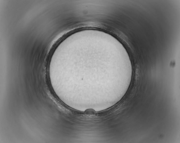 X0000110741024200907131116