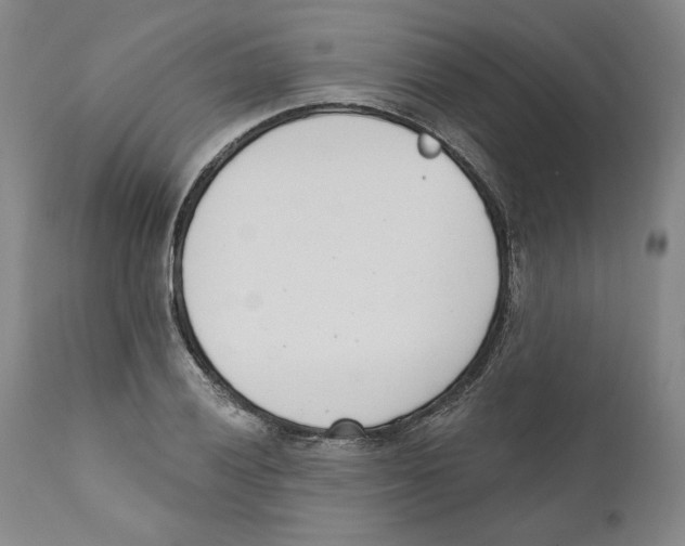 X0000110741028200907131116