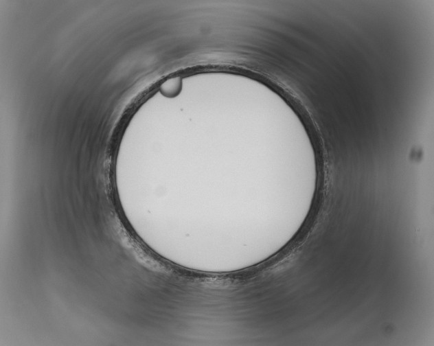 X0000110741029200907131116