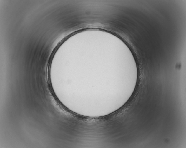 X0000110741032200907131116