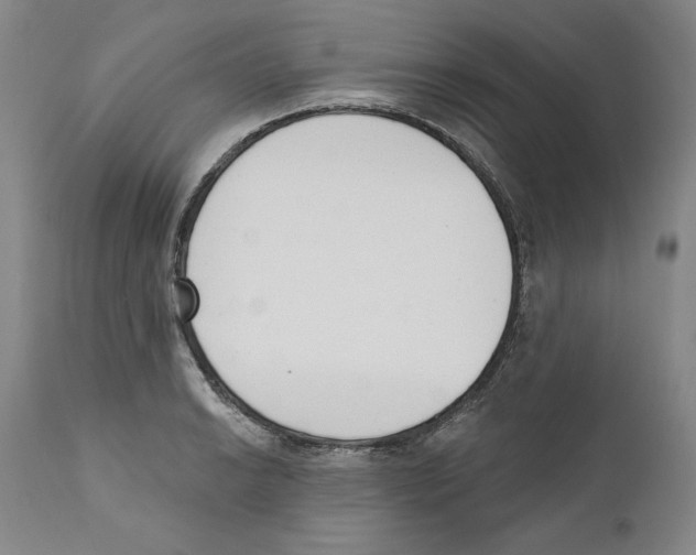 X0000110741038200907131116