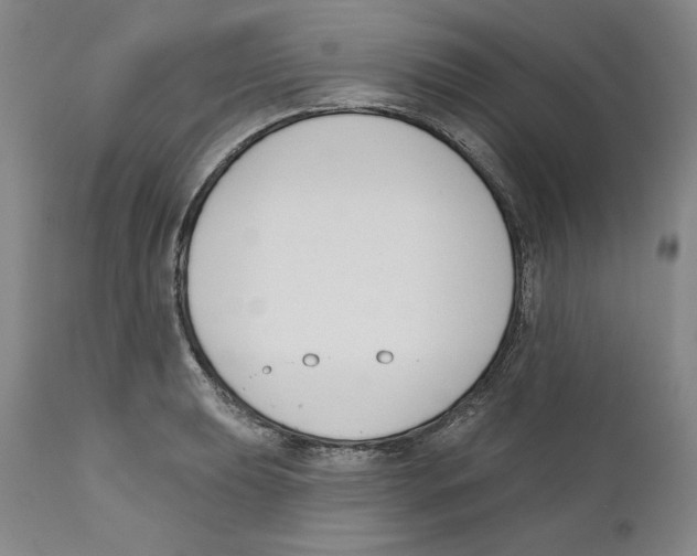 X0000110741039200907131116