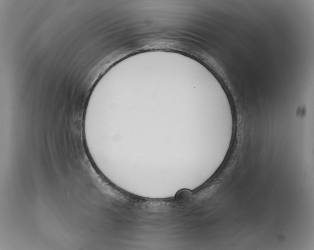 X0000110741041200907131116
