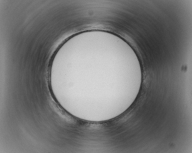 X0000110741043200907131116