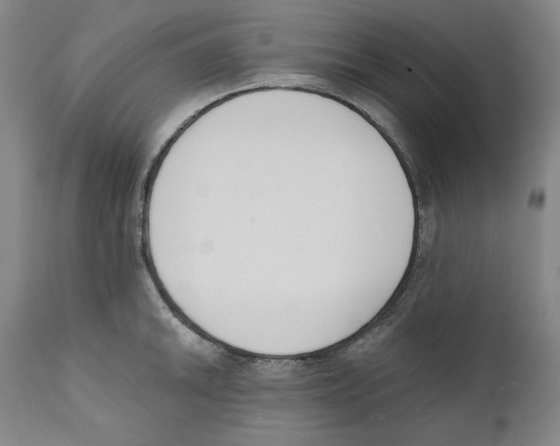 X0000110741046200907131116