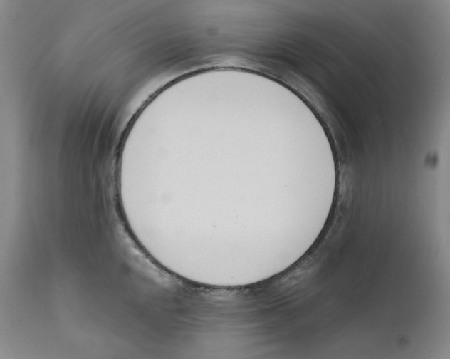 X0000110741048200907131116