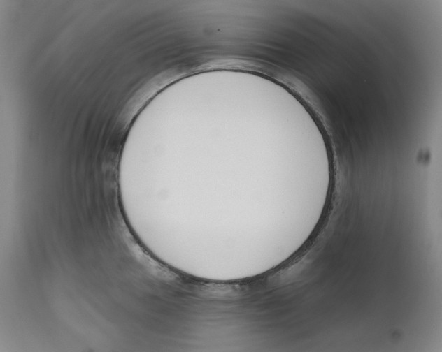 X0000110741049200907131116