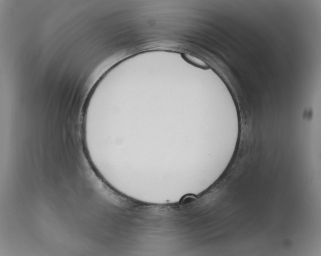 X0000110741050200907131116