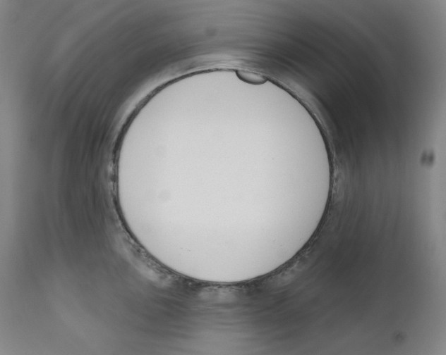 X0000110741051200907131116