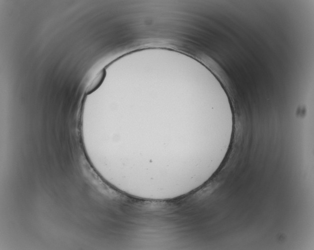 X0000110741052200907131116