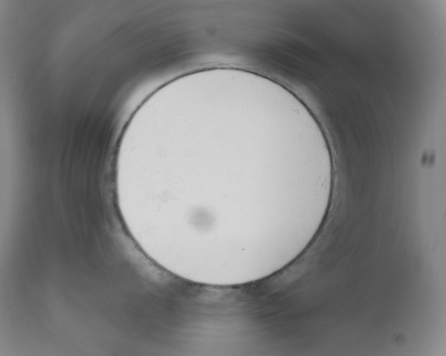 X0000110741056200907131116