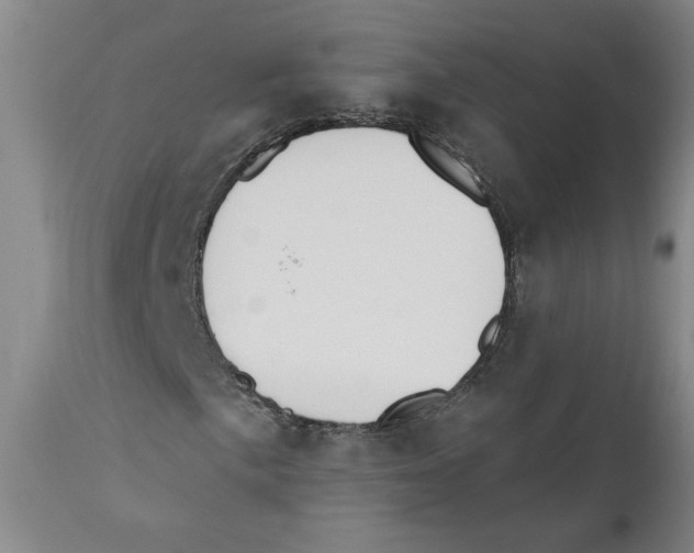 X0000110741057200907131116