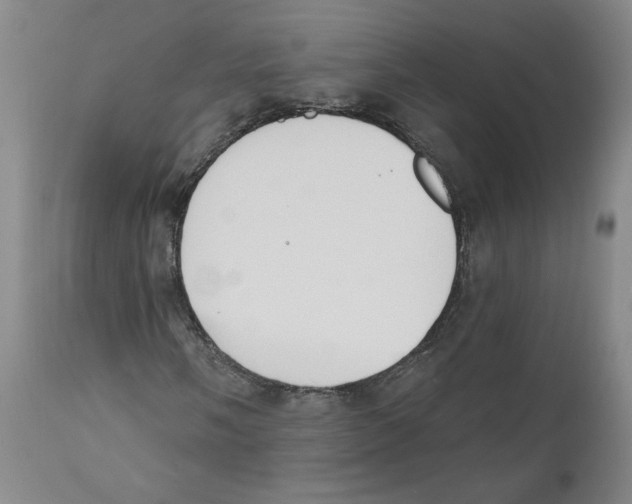 X0000110741058200907131116