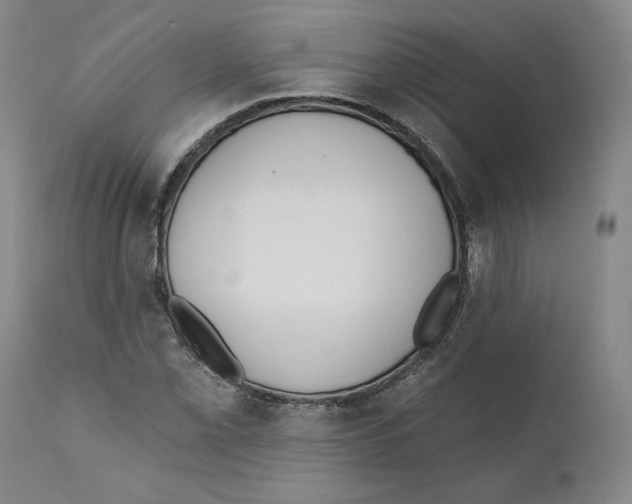 X0000110741069200907131116