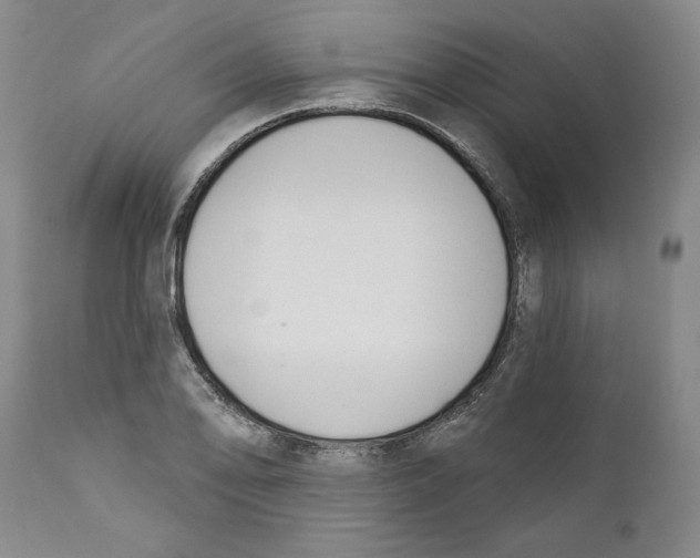 X0000110741078200907131115