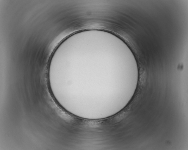 X0000110741086200907131115