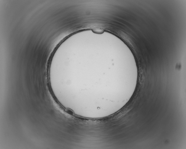 X0000110741087200907131115