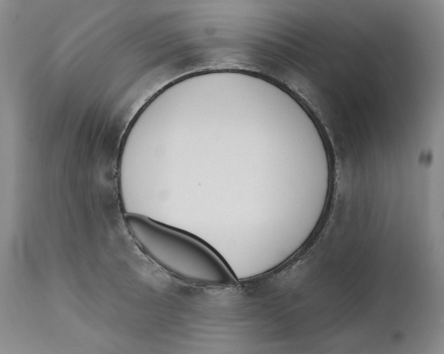 X0000110741089200907131115