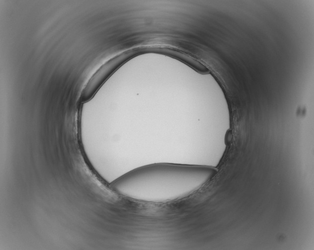 X0000110741092200907131115