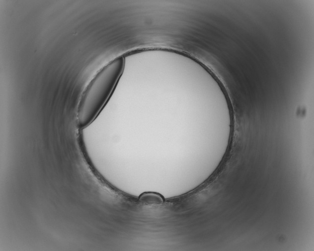 X0000110741093200907131115