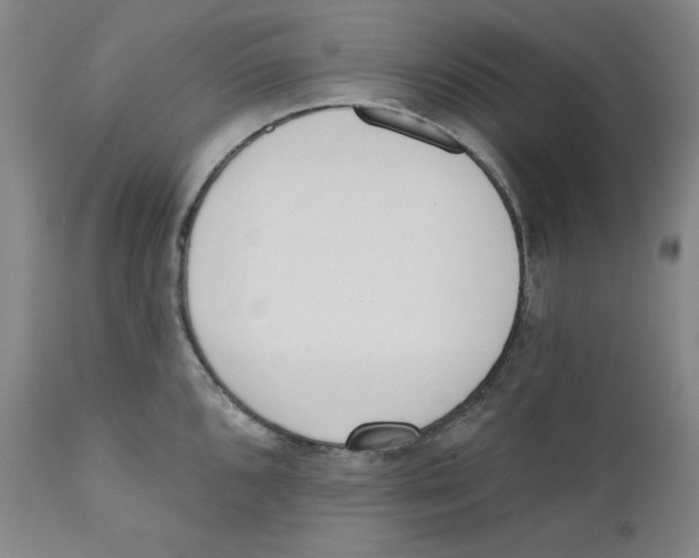 X0000110741096200907131115