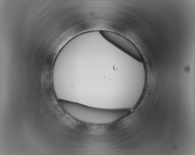 X0000110741097200907131115