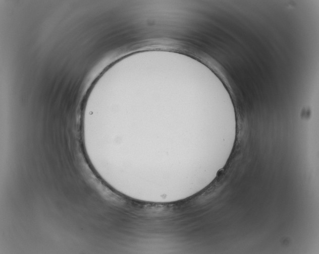 X0000110741099200907131115