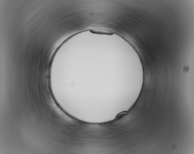 X0000110741100200907131115