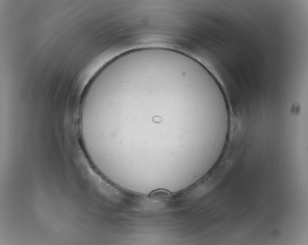 X0000110741101200907131115
