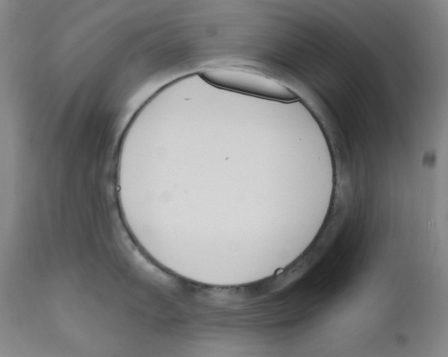 X0000110741102200907131115