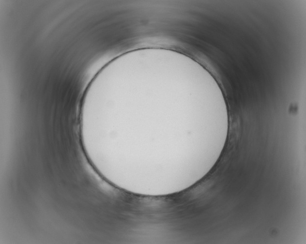 X0000110741103200907131115