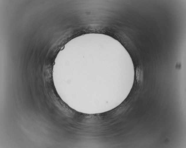 X0000110741107200907131114