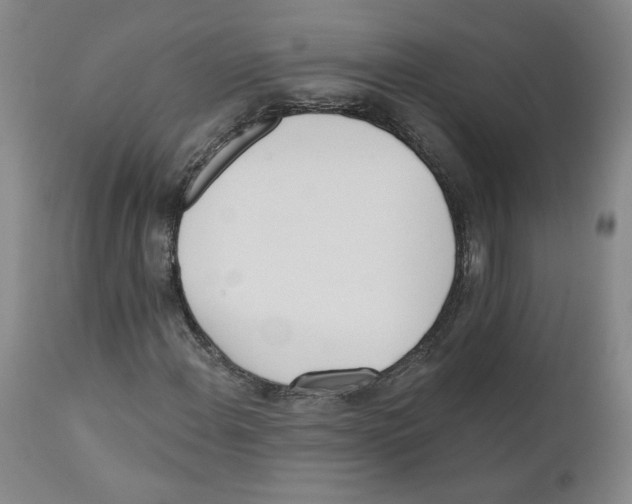 X0000110741108200907131114