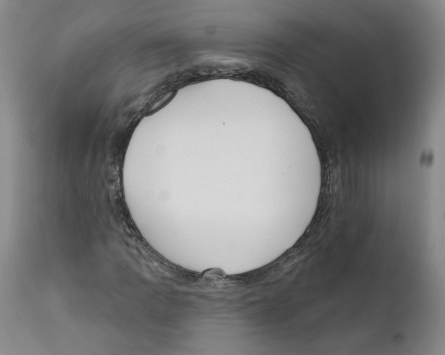 X0000110741109200907131114