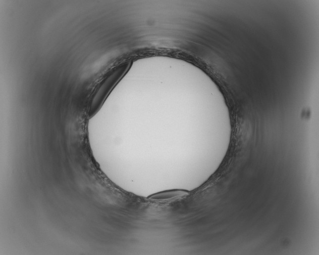 X0000110741110200907131114