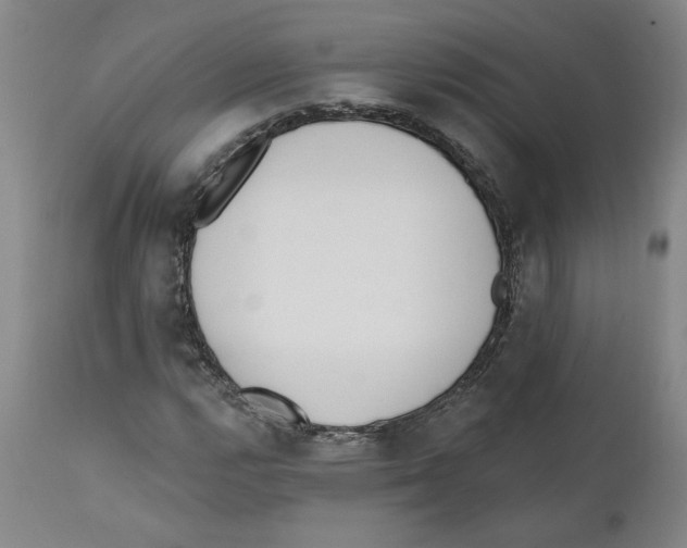 X0000110741112200907131115