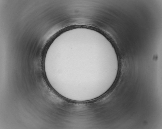 X0000110741114200907131115