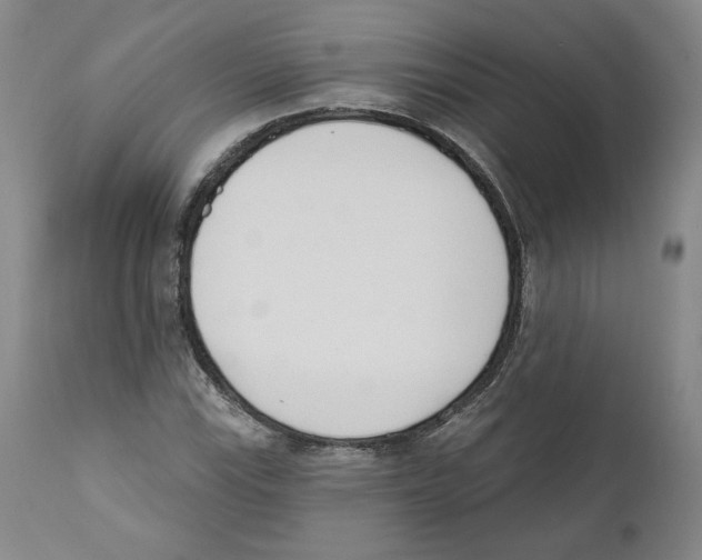 X0000110741115200907131115