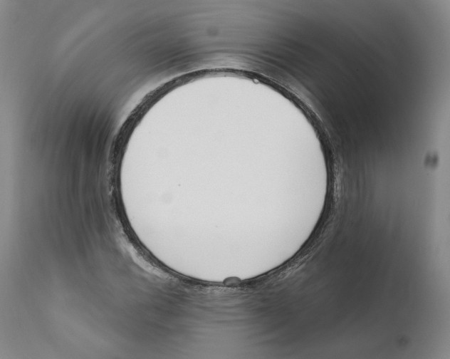 X0000110741116200907131115