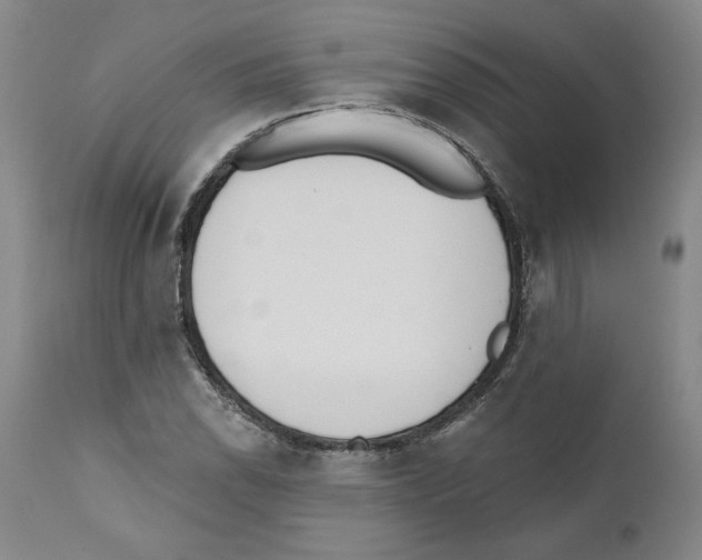 X0000110741118200907131115