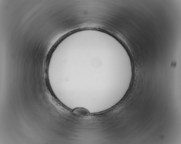 X0000110741124200907131115