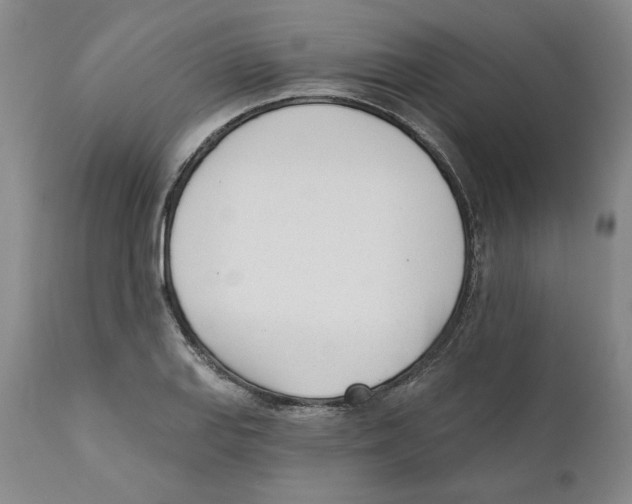 X0000110741127200907131115