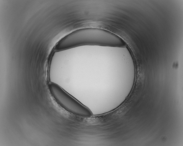X0000110741128200907131115