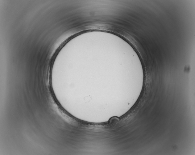 X0000110741131200907131115